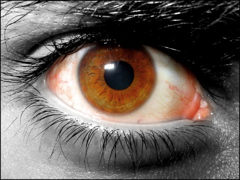 Dragon on the fly, Red eyes down 