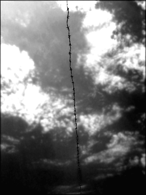 Barbed sky 