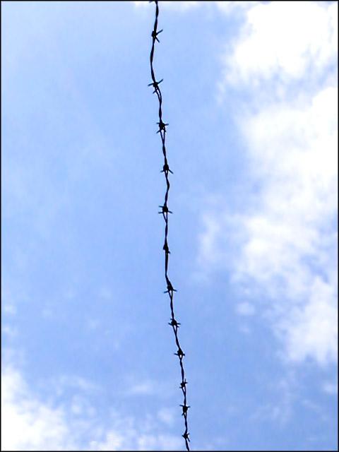 Barbed blue sky 