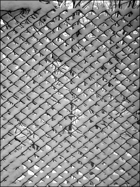 Snowy prisoned snow 