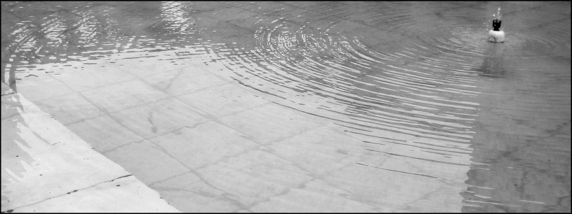 Silence and its beloved waves